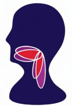 Dansk Selskab for Dysfagi